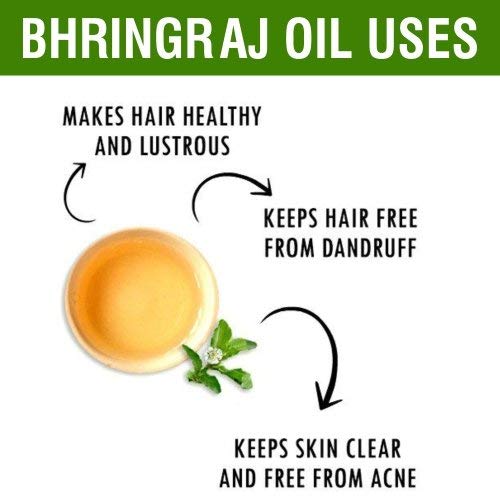 Salvia Bhringraj Oil (Eclipta alba) 100% Pure & Natural - Undiluted Uncut Cold Pressed Premium Oil Use for Aromatherapy, Skin Care & Hair - Therapeutic Grade (250 ML (8.45351))