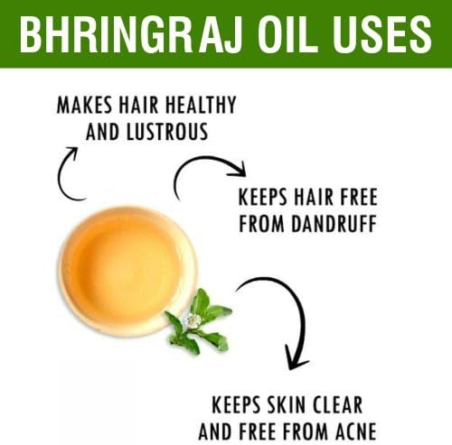 Salvia Bhringraj Oil (Eclipta alba) 100% Pure & Natural - Undiluted Uncut Cold Pressed Premium Oil Use for Aromatherapy, Skin Care & Hair - Therapeutic Grade (15ml (0.50 Fl Oz))