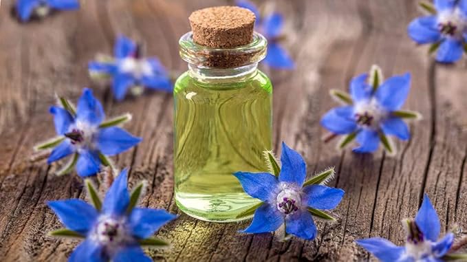 Dr Joe Lab Borage Seed Oil - 8 oz - Pure Cold Pressed Non-GMO Carrier Oil for Skin Hair Nails Body Beard Face High GLA - All Skin and Hair Types - Packaging May Vary