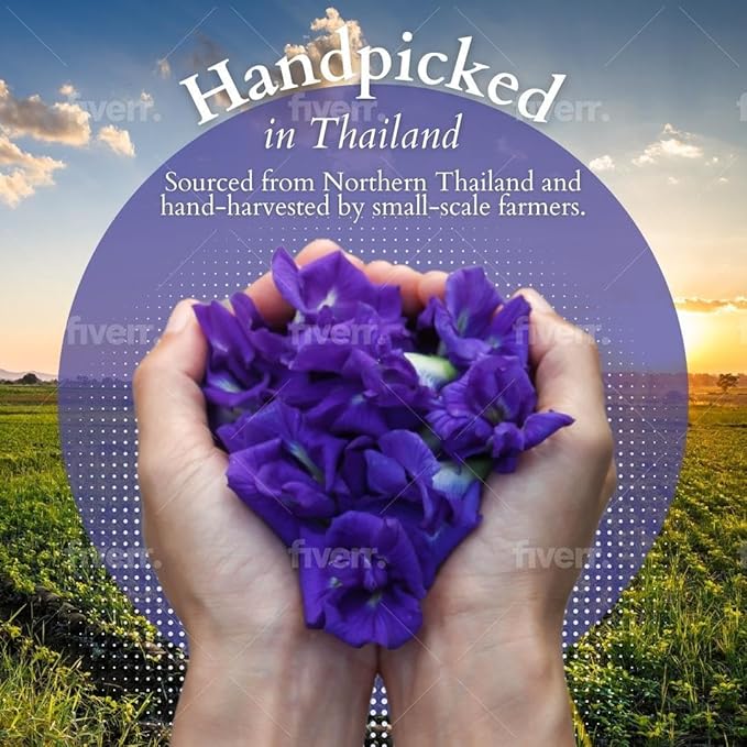 YESTEA 100% Organic Butterfly Pea Flower 4.41 oz (375+ Cups) Small-Batch and Handpicked from Thailand - Non GMO Rich in Antioxidants, Caffeine Free, Vegan, and Gluten Free (4.41 Oz)