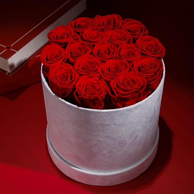 17 Flowers in a Luxury Suede Box, Birthday Gifts for Women, Preserved Flowers, Mothers Day Roses Gift for Mom, Red