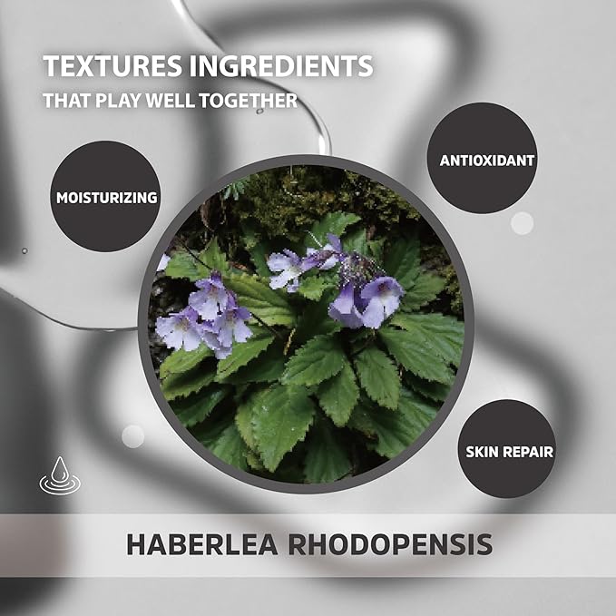 Haberlea Oil โ Natural Anti-Aging Moisturizer for Dry Skin, Fine Lines & Wrinkles, Lightweight Face Oil for Hair & Body โ All Skin Types โ Made in Taiwan โ 25ml / 0.85 fl oz