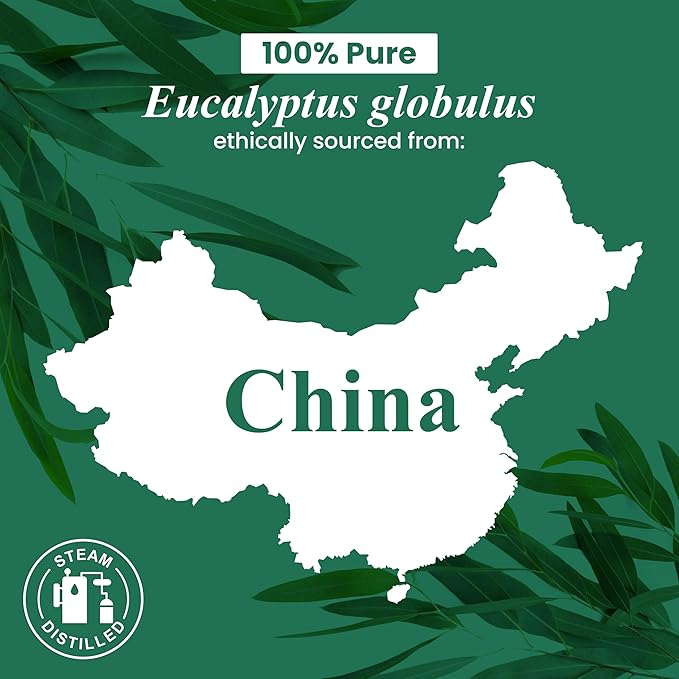 Handcraft Blends Eucalyptus Essential Oil - 1 Fl Oz - 100% Pure and Natural - Premium Grade Essential Oil for Diffuser and Aromatherapy