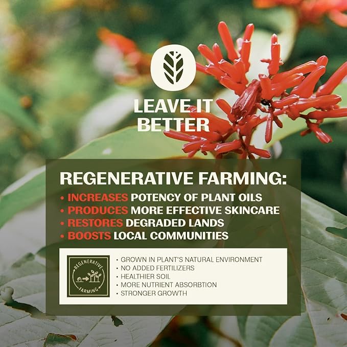 Thrive Revive Eye Balm Stick - Under Eye Brightener - Reduces Puffy Eye Bags - Vegan, Made in USA, 0.5 Oz