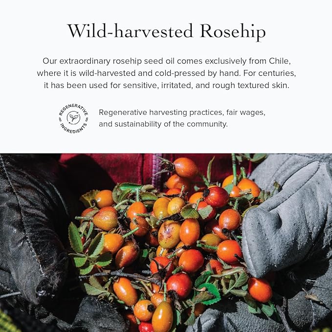 evanhealy Rosehip Calming Serum | Blue Skin Care Line with Organic Whole Essential Oils | Nurturing, Soothing Facial Oil Serum | Organic Facial Oil For Sensitive, Reactive Skin