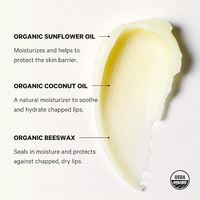 Space Camp Wellness Jumbo Lip Balm - Birthday Cake Organic Flavored Balm (2 Pack)