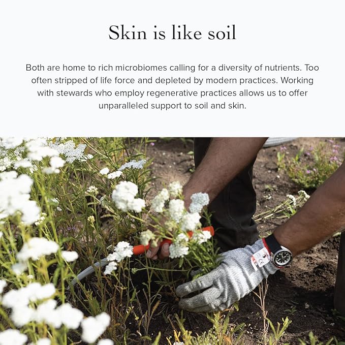 evanhealy Rose Trinity Beauty Elixir | Organic Natural Humectant Rejuvenating & Smoothing Facial Oil | Minimize Fine Lines & Wrinkles