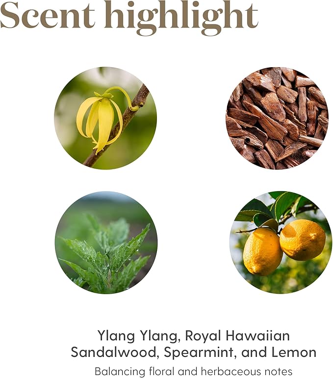 Young Living Release Essential Oil Blend | 15 ml | Promotes Tranquility, Emotional Wellness, Inner Harmony, and Calm | Soothing Aromatherapy for Diffusers, Self-Care, Meditation, or Relaxation