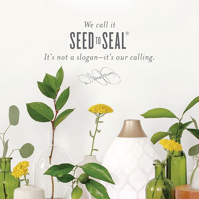 Frankincense Essential Oil 15ml by Young Living Essential Oils