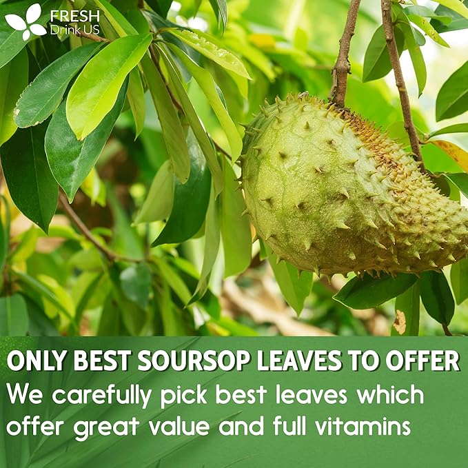 120+ Premium Soursop Graviola Dried Leaves, 120-130 Natural Leaves, Whole Soursop Leaves, Wildcrafted, Graviola, Soursop, Hoja Guanabana, Soursop Loose Leaf Herbal Tea, No Gluten, Vegan