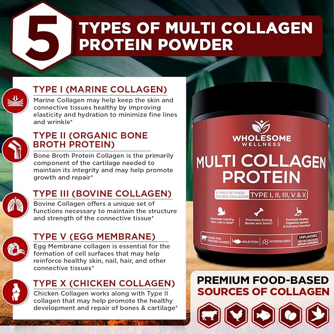Wholesome Wellness Multi Collagen Protein Powder Hydrolyzed (Type I II III V X) Grass-Fed All-in-One Super Bone Broth + Peptides - Premium Blend of Beef, Chicken, Wild Fish, Eggshell, 58 Servings