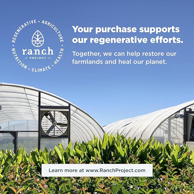 Ancient Nutrition Collagen Protein Brain Boost, Collagen Protein Capsules Brain Supplement for Reduced Joint Discomfort, Healthy Skin and Nails, 90 ct