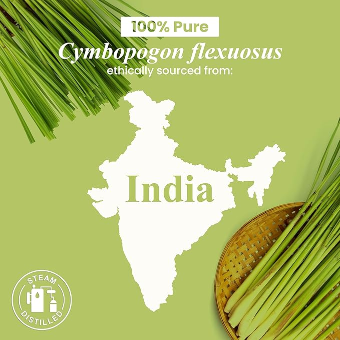 Handcraft Blends Lemongrass Essential Oil - 1 Fl Oz - 100% Pure and Natural - Premium Grade Essential Oil for Diffuser and Aromatherapy