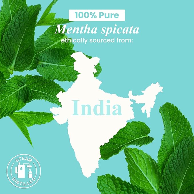 Handcraft Blends Spearmint Essential Oil - 1 Fl Oz - 100% Pure and Natural - Premium Grade Essential Oil for Diffuser and Aromatherapy