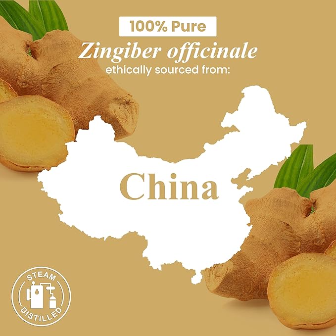 Handcraft Blends Ginger Essential Oil - 1 Fl Oz - 100% Pure and Natural - Premium Grade Essential Oil for Diffuser and Aromatherapy