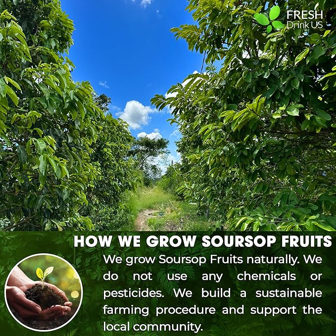 FreshDrinkUS, Premium 1oz Soursop Fruit Powder, 100% Natural and Pure from Soursop Graviola Fruit, Soursop Fruit Tea, No Additives, No Gluten, No Sugar, Vegan, Guanabana Powder, Handmade Product