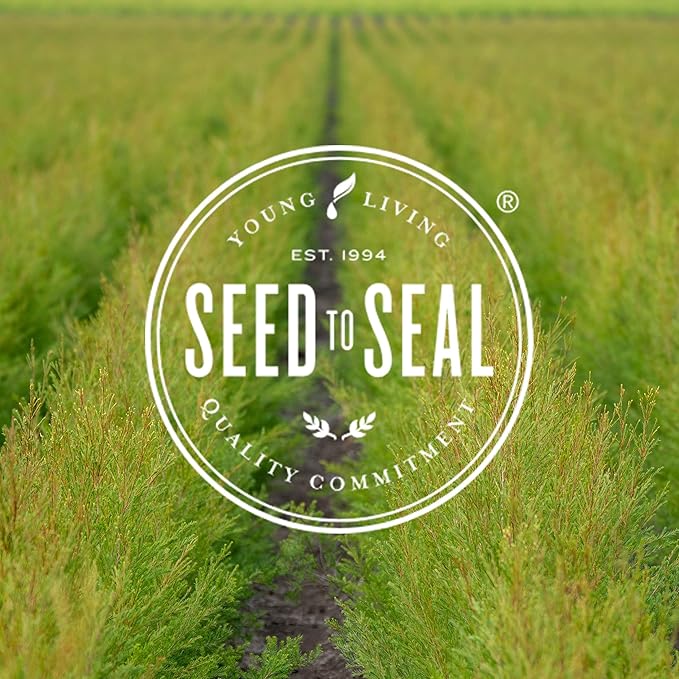 Young Living Orange Essential Oil 15ml - Brighten Your Space with an Uplifting Citrus Aroma - Cleanse, Refresh, and Promote Wellness - Premium Young Living