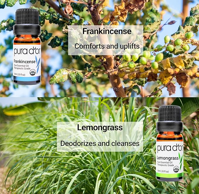 PURA D'OR Organic Perfect10 Essential Oils Set - 10x 10mL Wood Box Aromatherapy Gift Set - 100% Pure Therapeutic Grade for Relaxation and Wellness (Lavender, Peppermint, Eucalyptus, Tea Tree & More)