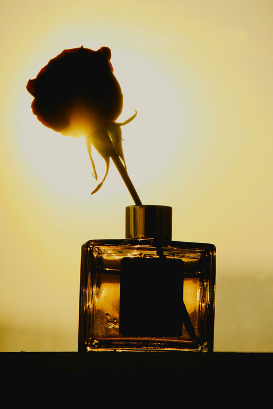 A Fragrance That Captivates the Senses