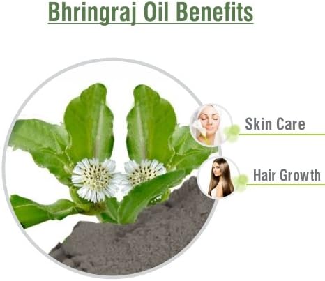 ﻿Salvia Bhringraj Oil (Eclipta alba) 100% Pure & Natural - Undiluted Uncut Cold Pressed Premium Oil Use for Aromatherapy, Skin Care & Hair - Therapeutic Grade (15ml (0.50 Fl Oz))