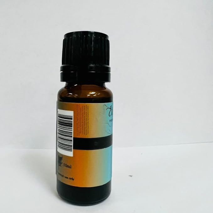 Seaside Citrus - Premium Grade Fragrance Oils - 10ml - Scented Oil