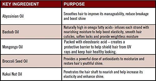 Peter Lamas Youth Revival 5 Oil Hair Treatment Mask | Deep Conditionitiong Hair Mask to Hydrate, Boost Shine and Repair Hair | For Dry, Damaged and Color Treated Hair | Vegan, Sulfate & Paraben-Free