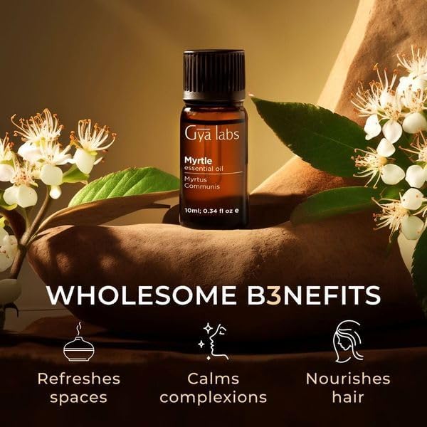 Gya Labs Myrtle Essential Oil for Diffuser - 0.34 Fl Oz - 100% Pure Natural Myrtle Oil for Skin, Hair, Aromatherapy & Candles Making - Fresh Sweet & Camphorous Scent