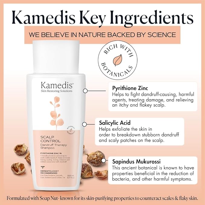 KAMEDIS Scalp Care Set: Clinically Proven Anti Dandruff Shampoo 16.9 Fl.Oz. & Scalp Massager Hair Brush. Gentle Scalp Scrubber Exfoliator and Dandruff Treatment, Suitable for Men & Women