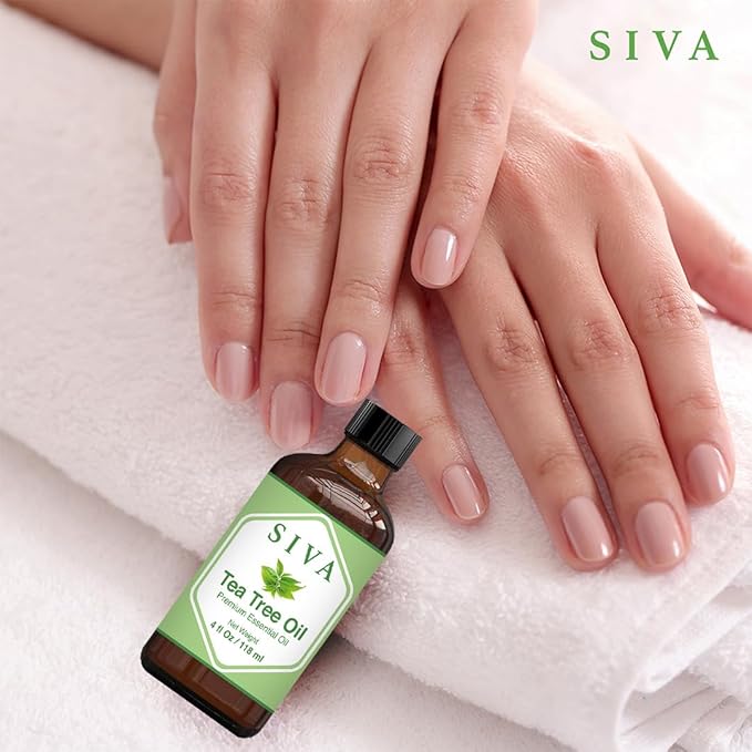 SIVA Tea Tree Essential Oil - 4 Fl Oz – Natural Tea Tree Oil - for Diffuser, Face, Skin Care, Aromatherapy, Hair Care, Scalp and Body Massage - with Dropper