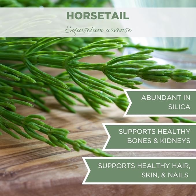 Organic Horsetail Herb 4 oz. (113g), USDA Certified Organic Cola de Caballo Hierba, Horse Tail Plant Tea, Shave Grass Loose Leaf for Hair Growth, Cut & Sifted