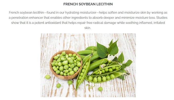 Pistaché Skincare Pistachio Oil Dewy Face Beauty Duo Set + Hyaluronic Acid Face Serum & Face Moisturizer + Hydrates and Nourishes + Vitamin E + Antioxidant