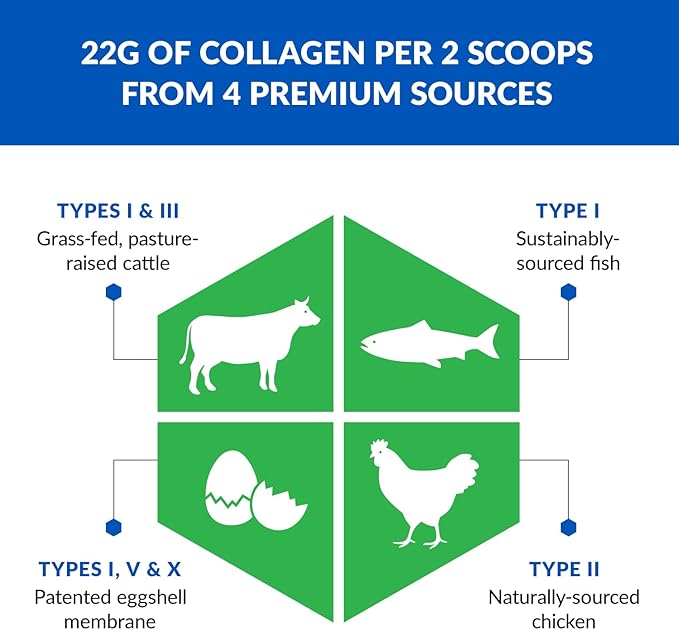 BioTrust Ageless Multi Collagen Protein Powder – 5 Collagen Types (I, II, III, V, X) for Hair, Skin, Nails & Joints – Grass Fed Beef, Sustainable Fish, Chicken & Eggshell Membrane (Unflavored, 2 Pack)