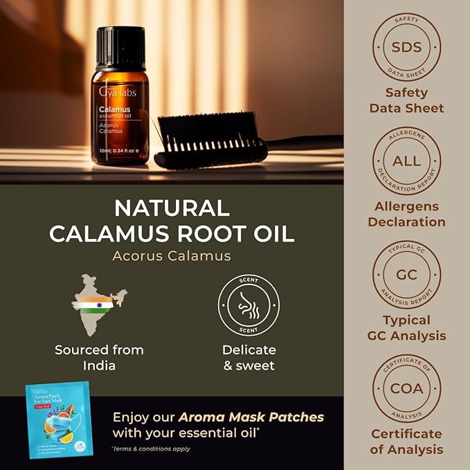 Gya Labs Calamus Essential Oil for Hair - 0.34 Fl Oz - 100% Pure Natural Calamus Oil for Diffuser, Skin, Aromatherapy, Candle Making & Massages - Earthy, Woody, Spicy Scent