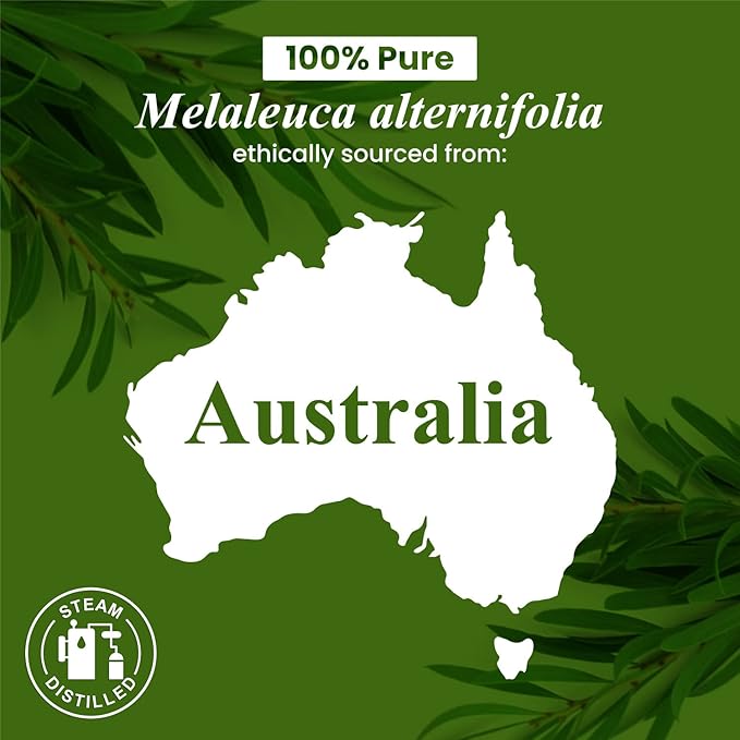 Handcraft Blends Tea Tree Essential Oil - 0.33 Fl Oz - 100% Pure and Natural - Premium Grade Essential Oil for Diffuser and Aromatherapy