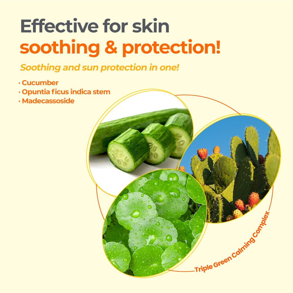 Derma B Everyday Mild Sunscreen SPF50+ PA++++ 1.69 Fl Oz, 50ml Fast-Absorbing Lightweight SPF Sunblock Moisturizer, Facial Body Non-Sticky for Dewy Skin, Korean Sunscreen Lotion for Sensitive Skin