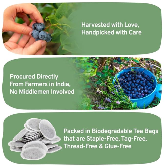 HANDPICK, Wild Blueberry Tea Bags (100 Count), True Premium Blueberry Herbal Tea with Hibiscus, Rose & Licorice | Brew Iced/Hot Tea