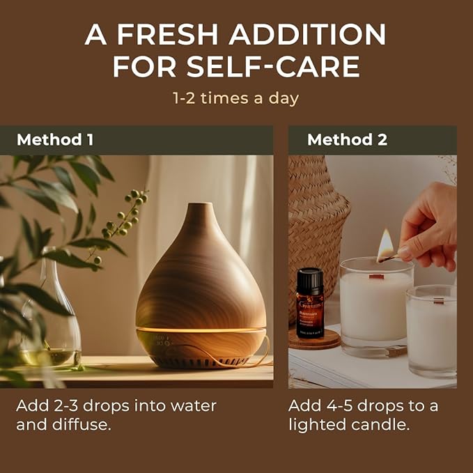 Gya Labs Ravensara Essential Oil for Diffuser - 0.34 Fl Oz - 100% Pure Natural Ravensara Oil for Skin, Hair, Aromatherapy & Candles Making - Sweet Spicy & Purifying Scent