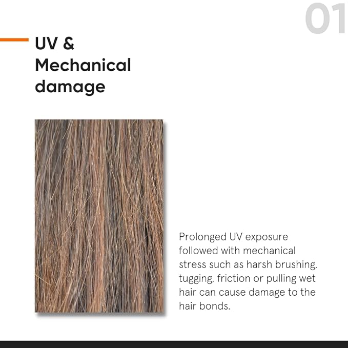 Minimalist Hair Serum for Strengthening & Repairing Damaged Hair | Patent Pending Formula | Maleic Bond Repair Complex 05% | With Amino Acids, Argan Oil & Squalane | For Women & Men | 1.7 Fl Oz/ 50 ml