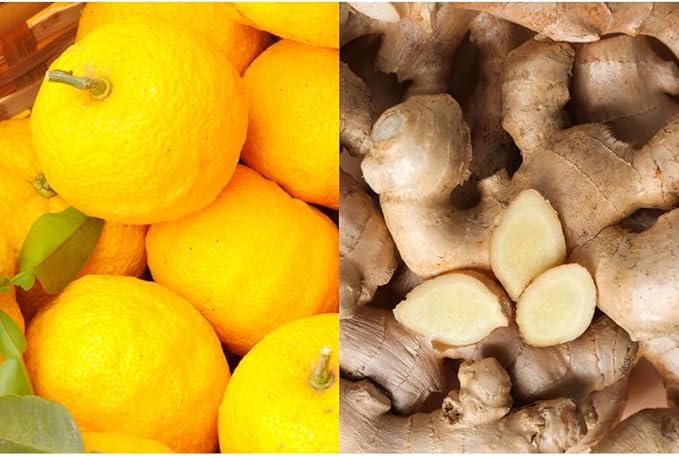 Natural Herb Bath Salt - 1.4 oz x 10 Packs - Yuzu & Ginger - Mineral Bath Soak - Sea Salt with Dried Yuzu Peels - Jojoba Oil - Made in Japan