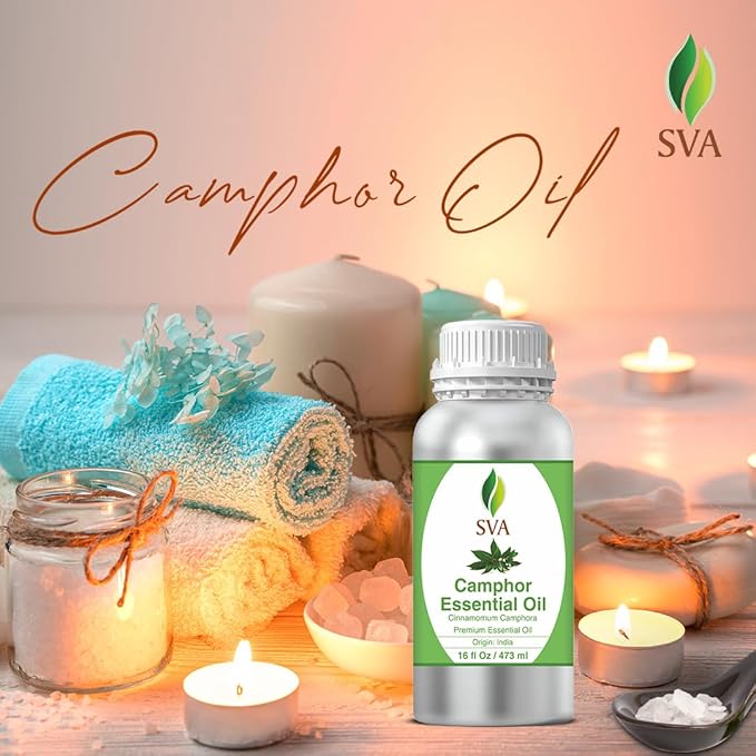 SVA Camphor Essential Oil – 16 Fl Oz – 100% Natural Camphor Oil - for Diffuser, Hair Care, Face, Skin Care, Aromatherapy, Scalp and Body Massage, Soap and Candle Making