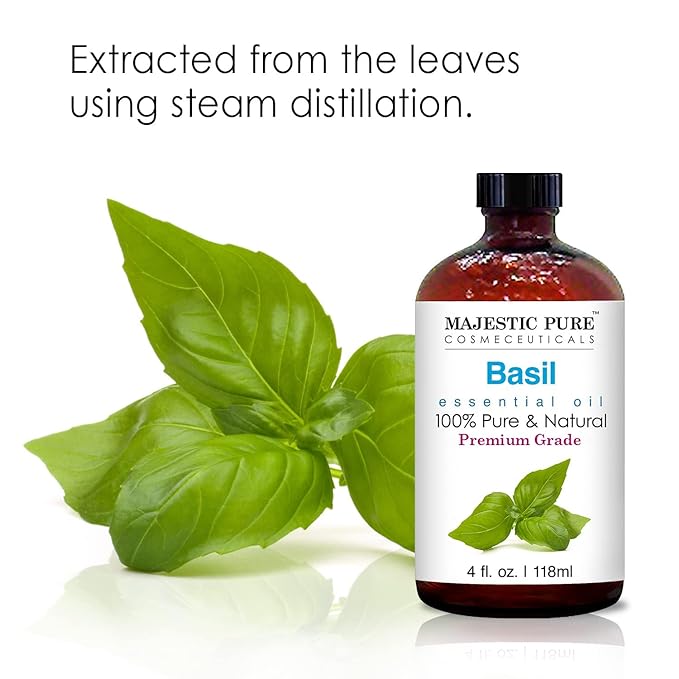 MAJESTIC PURE Basil Essential Oil | 100% Pure and Natural Basil Oil | Premium Grade Essential Oils for Hair Care, Home Diffusers, Skin, Aromatherapy, Massage and Humidifiers | 4 Fl Oz