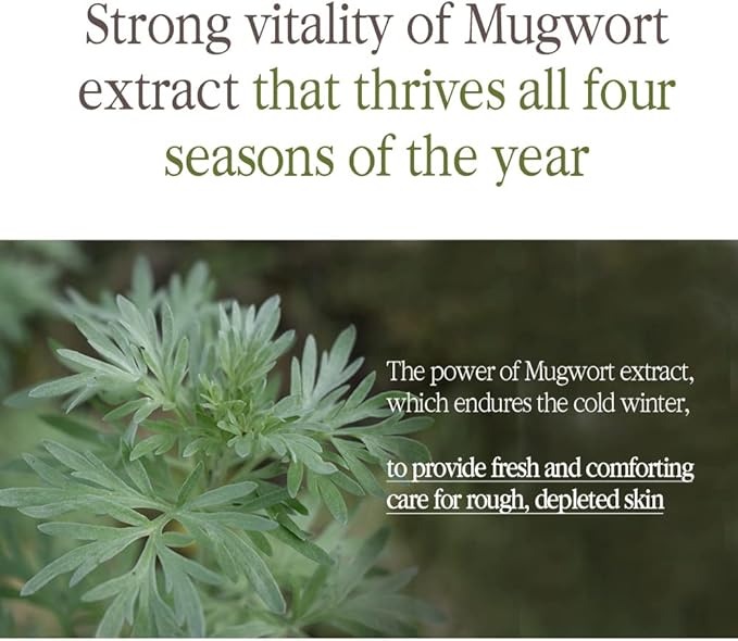 [PKY] Pyunkang Yul Black Tea Deep Infusion Toner for Anti-Aging, Rich Moisture Toner for Fine Line Care & Firmer Facial Skin, Zero-Irritation, Korean Skincare (4.39 Fl. Oz, 130ml)