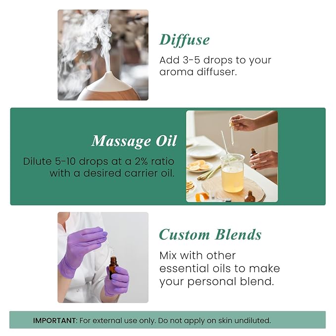 Handcraft Blends Eucalyptus Essential Oil - Huge 4 Fl Oz - 100% Pure and Natural - Premium Grade Essential Oil for Diffuser and Aromatherapy