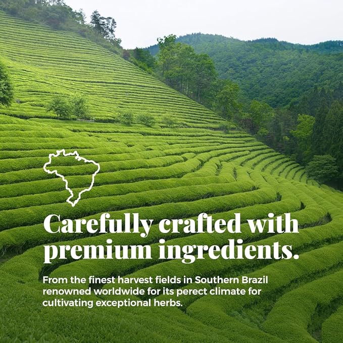 Life by Sublime - Vivacious USDA Organic Green Tea, 20 Tea Bags, Caffeinated, Antioxidant-Rich, Supports Skin Health and Immune System, Less Bitter, Premium Brazilian Harvest