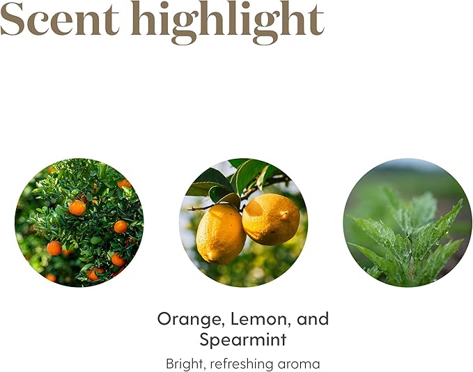 Citrus Fresh Essential Oil 15ml by Young Living Essential Oils