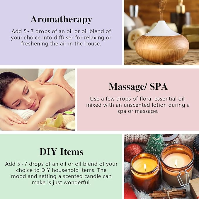 Bakery Essential Oils Set - Fragrance Oil for Diffusers, Candle Making - Pumpkin Pie, Coffee Cake, Oatmeal Cookie, Gingerbread, Cinnamon Apple Aromatherapy Scented Oils (5ml)