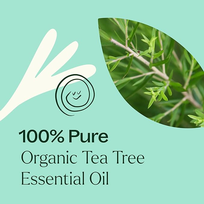 Plant Therapy Organic Tea Tree Oil (Melaleuca) 100% Pure, USDA Certified Organic, Undiluted, Natural Aromatherapy, Therapeutic Grade 100 mL (3.3 oz)