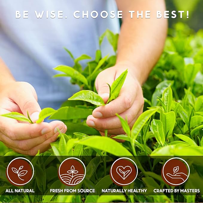 Teavity Organic Black Tea Pods - 12 Unsweetened Tea Pods for Keurig Kcup Brewers - Naturally Caffeinated, Hand-Picked from Sri Lanka, Sturdy Packaging, American Owned