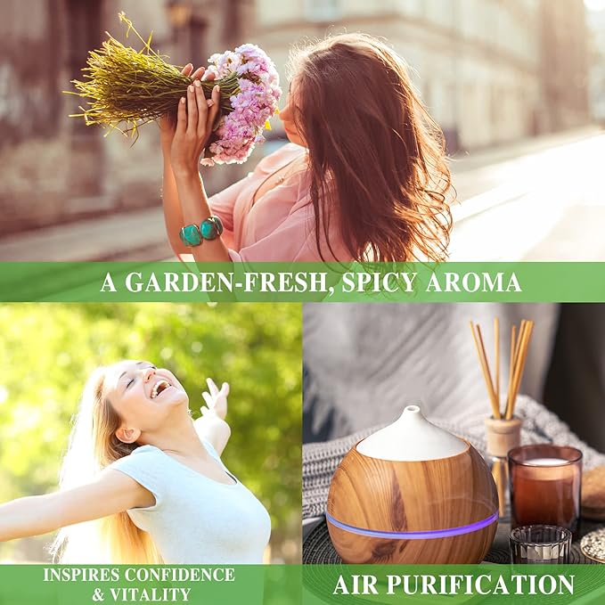 Basil Essential Oil, MAYJAM 10ML/0.33FL.OZ Premium Basil Oils for Soap Candle Making, Diffuser, Bedroom, Living Room, Office