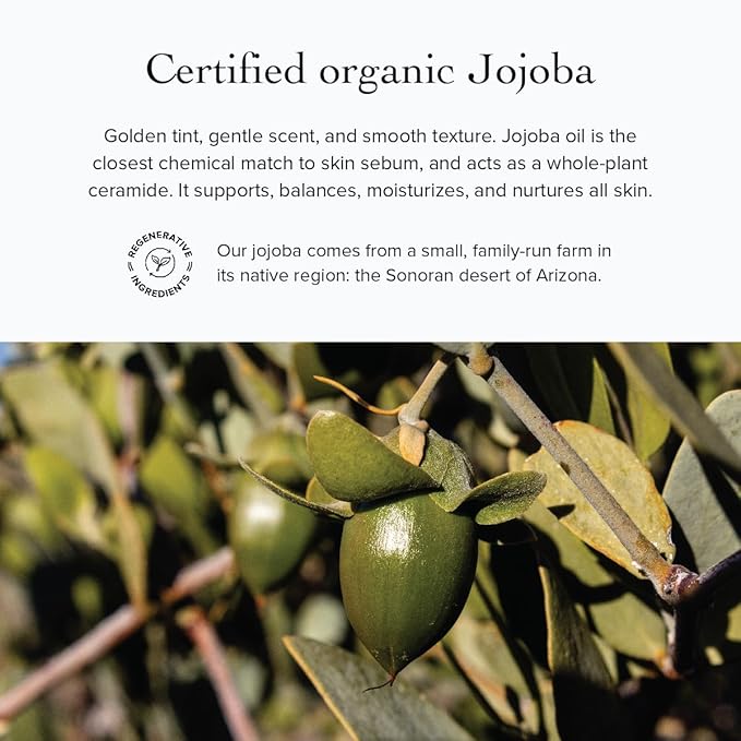 evanhealy Neroli Frankincense Body Oil | Organic Body Care with Silky Blend of Plant Oils to Soften & Moisturize All Skin | Frankincense Oil for Face